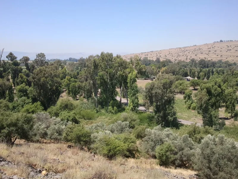 רגע לפני החורף: שלושה טיולי מים שכדאי להספיק בצפון
