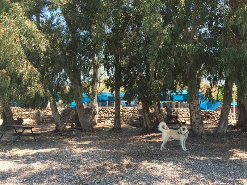 11212769_852319578148690_9216630772387621038_n 11212769_852319578148690_9216630772387621038_n