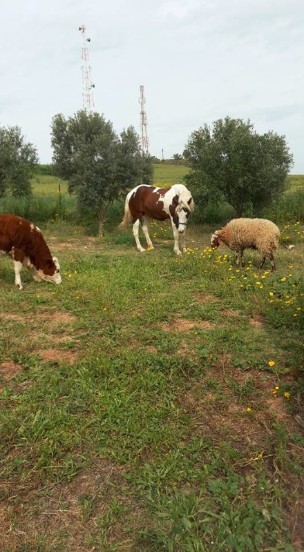 11219700_1658017921125819_1589411663539750428_n 11219700_1658017921125819_1589411663539750428_n