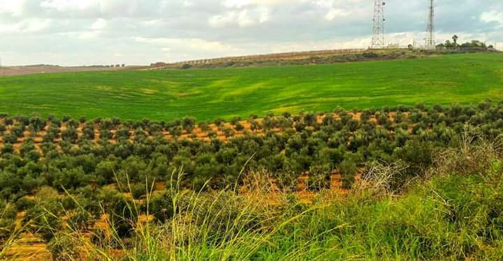 12541065_1639413746319570_3310969646260011789_n 12541065_1639413746319570_3310969646260011789_n