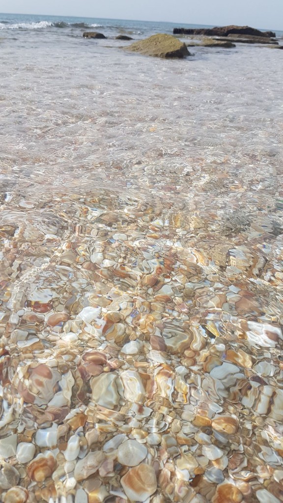 WhatsApp-Image-2018-05-01-at-16.01.11-1