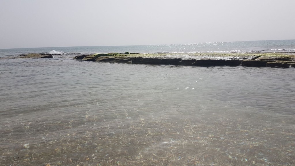 WhatsApp-Image-2018-05-01-at-16.01.13-1